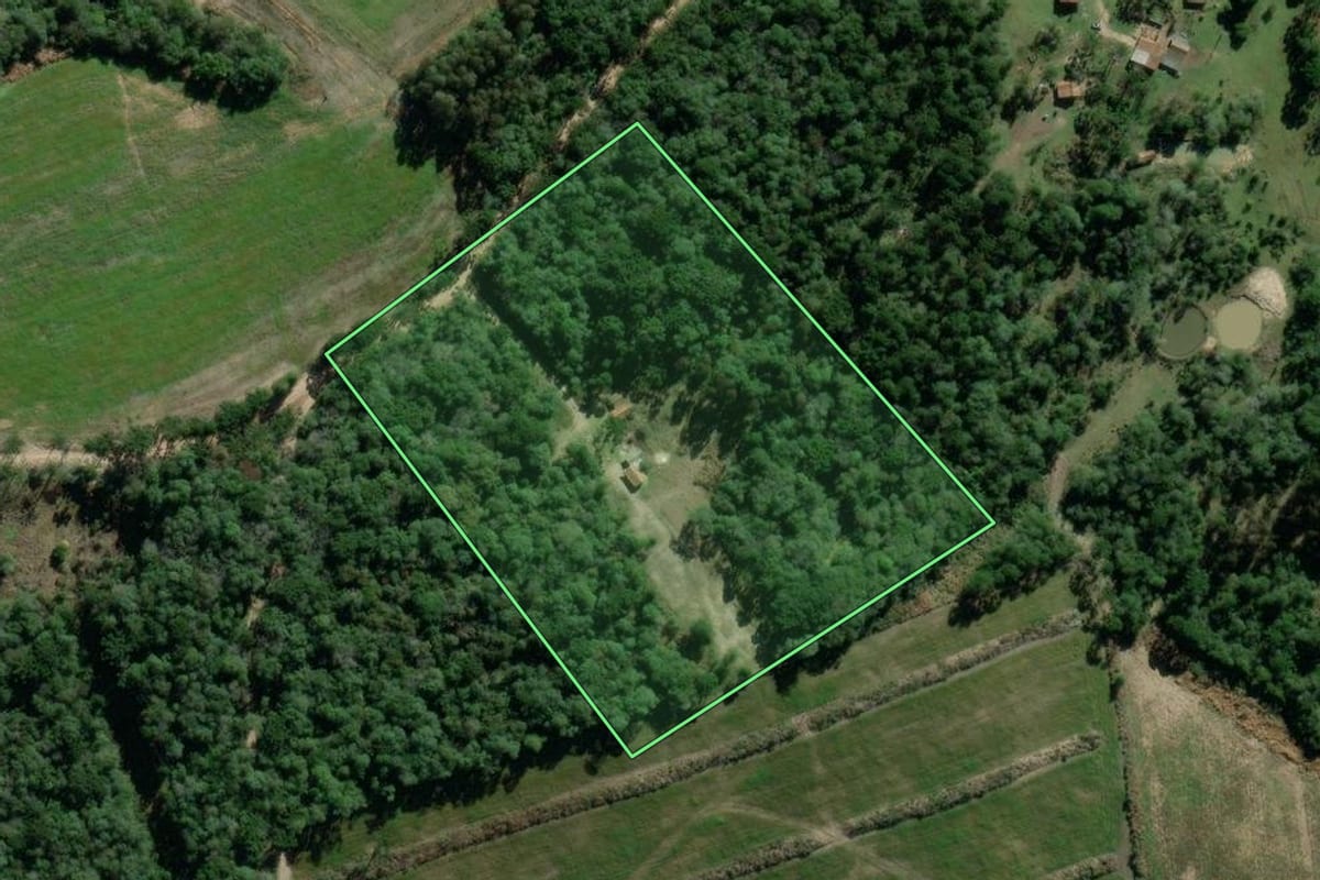 Imagem de satélite do imóvel rural em Lapa (PR), com o contorno declarado no CAR desenhado por cima.