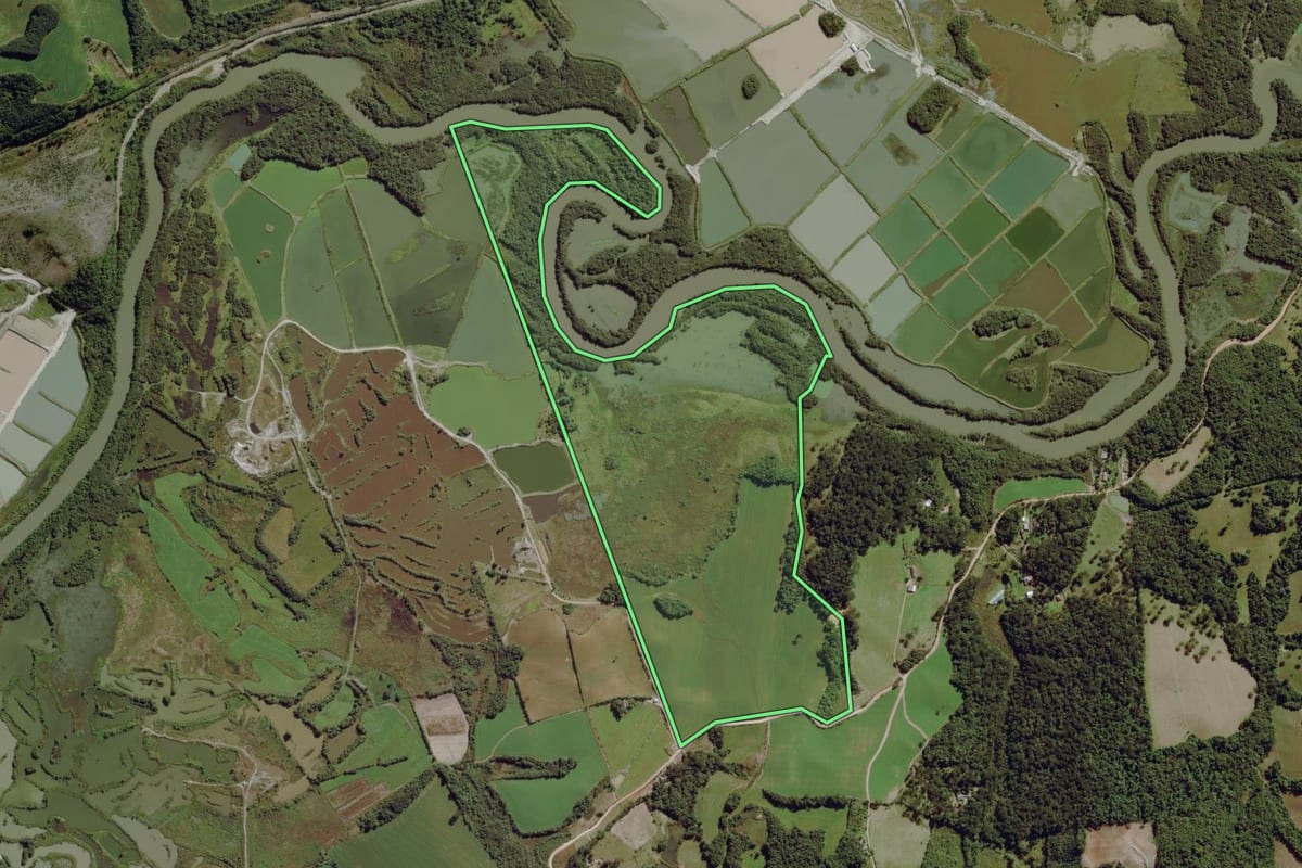 Imagem de satélite do imóvel rural em Lapa (PR), com o contorno declarado no CAR desenhado por cima.