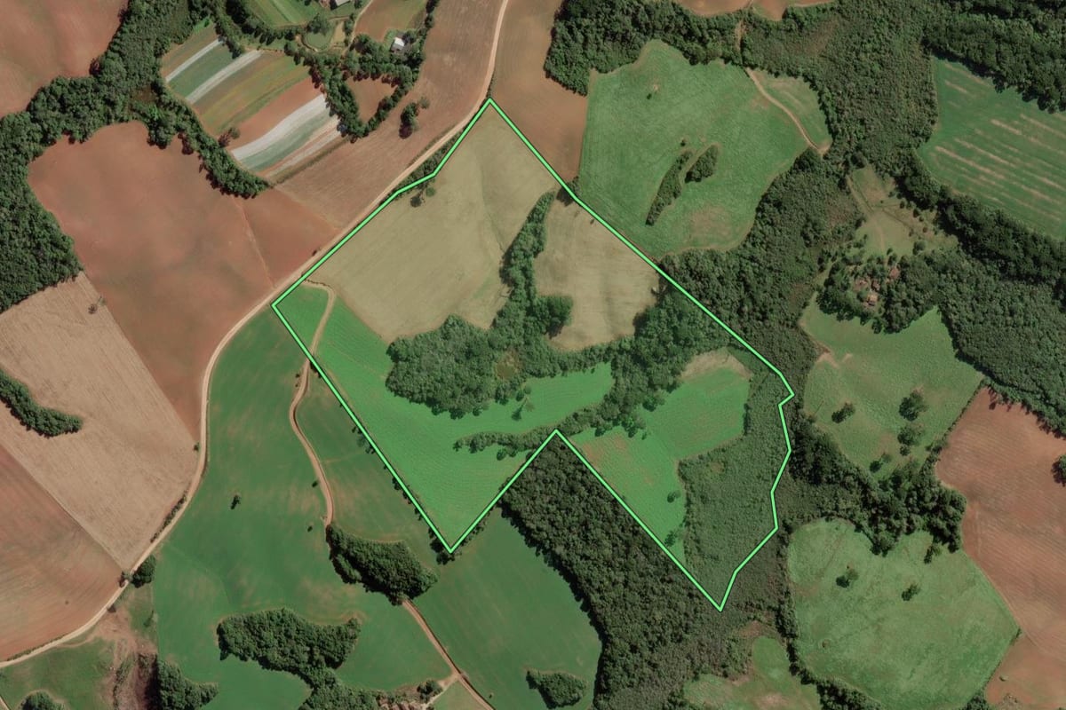 Imagem de satélite do imóvel rural em Lapa (PR), com o contorno declarado no CAR desenhado por cima.