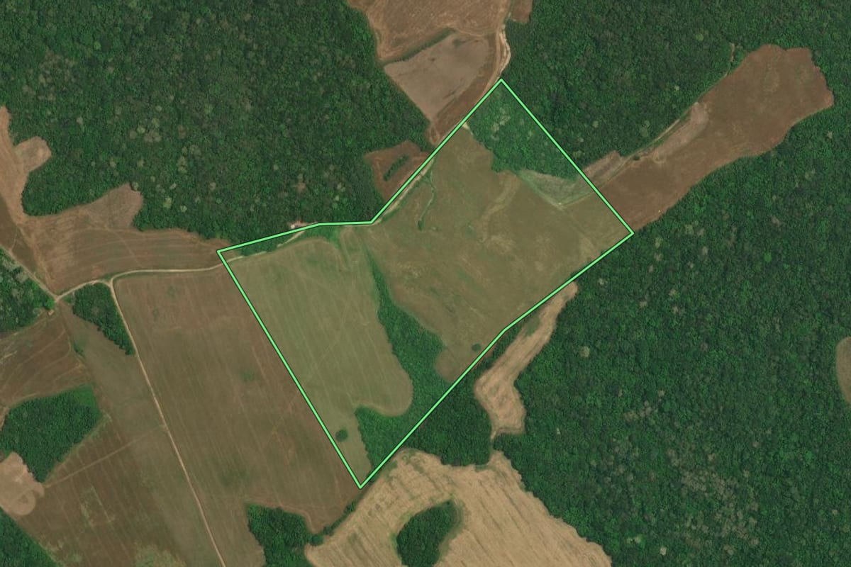 Imagem de satélite do imóvel rural em Lapa (PR), com o contorno declarado no CAR desenhado por cima.