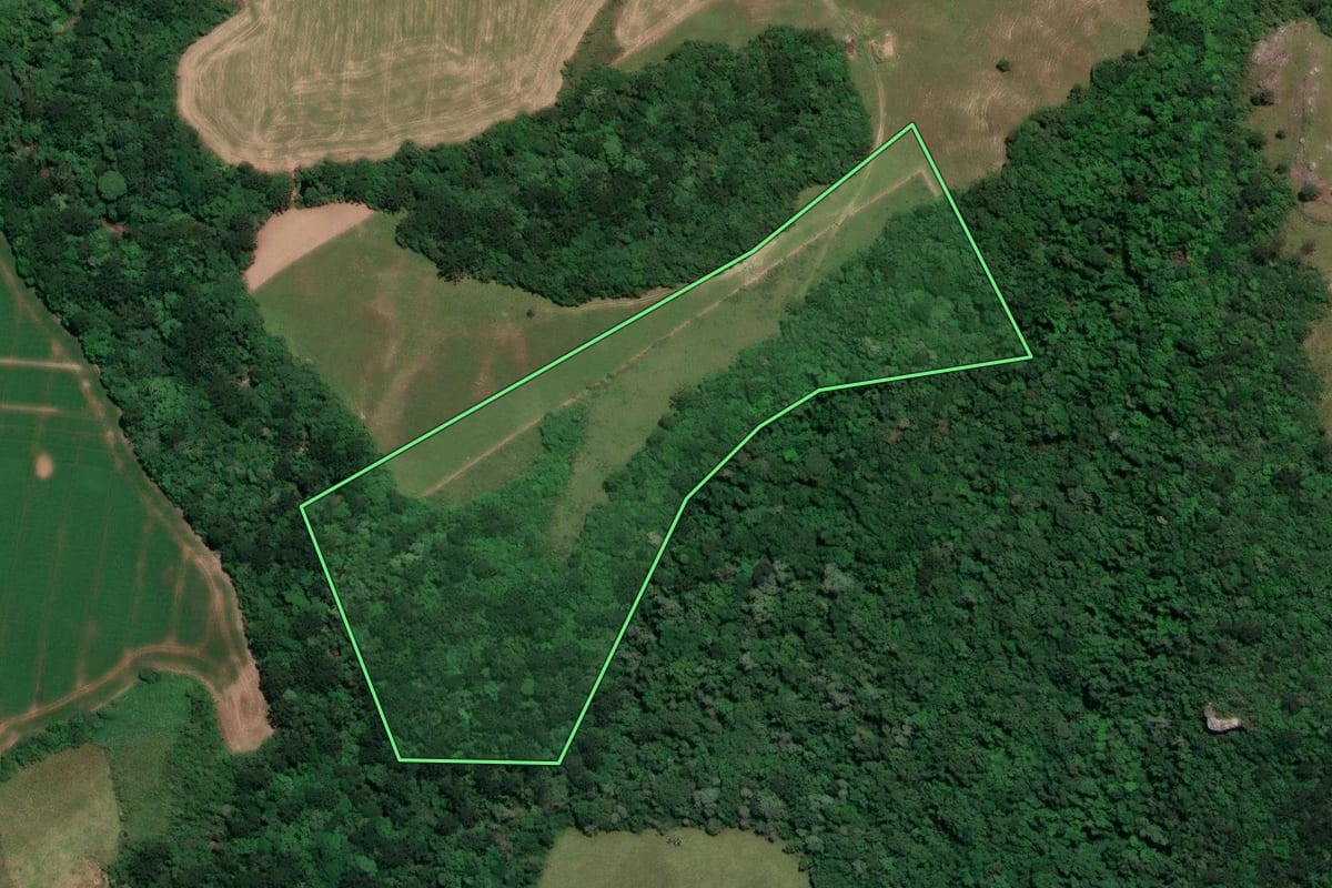 Imagem de satélite do imóvel rural em Lapa (PR), com o contorno declarado no CAR desenhado por cima.