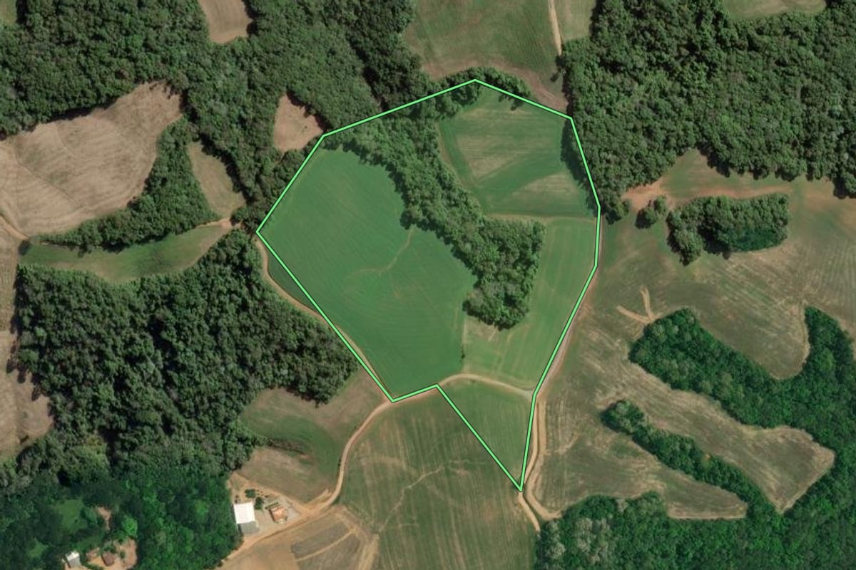 Imagem de satélite do imóvel rural em Lapa (PR), com o contorno declarado no CAR desenhado por cima.