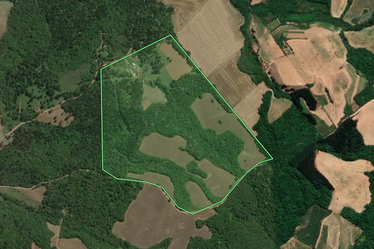 Imagem de satélite do imóvel rural em Lapa (PR), com o contorno declarado no CAR desenhado por cima.