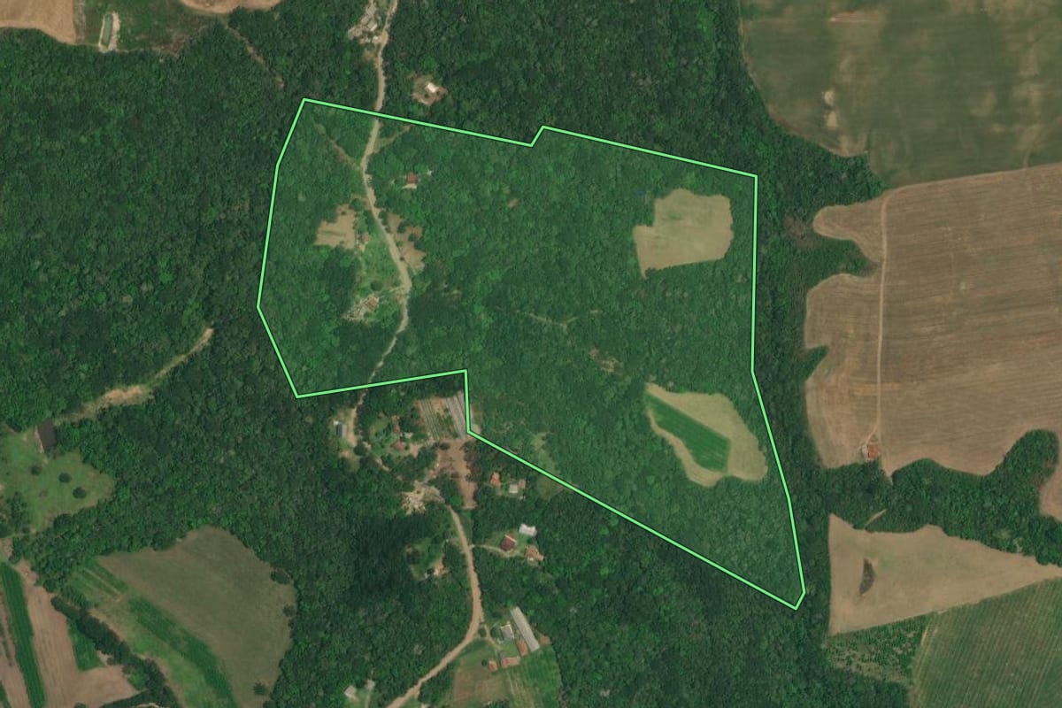 Imagem de satélite do imóvel rural em Lapa (PR), com o contorno declarado no CAR desenhado por cima.