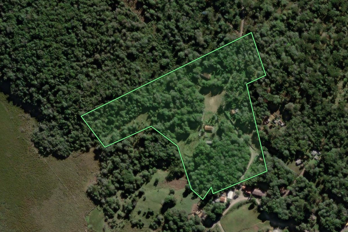 Imagem de satélite do imóvel rural em Lapa (PR), com o contorno declarado no CAR desenhado por cima.