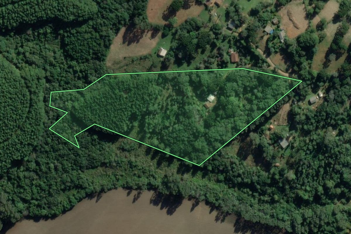 Imagem de satélite do imóvel rural em Lapa (PR), com o contorno declarado no CAR desenhado por cima.