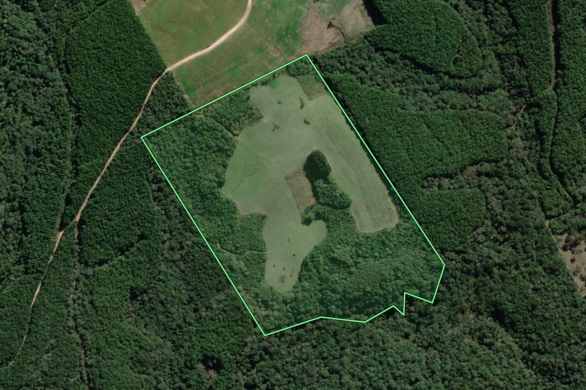 Imagem de satélite do imóvel rural em Lapa (PR), com o contorno declarado no CAR desenhado por cima.