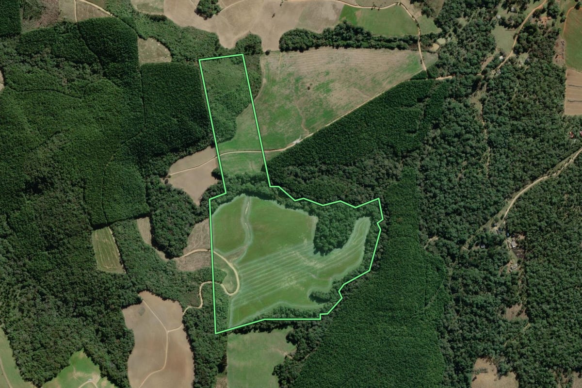 Imagem de satélite do imóvel rural em Lapa (PR), com o contorno declarado no CAR desenhado por cima.