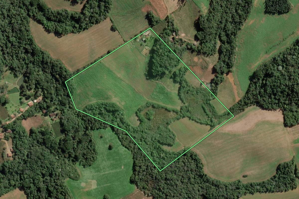Imagem de satélite do imóvel rural em Lapa (PR), com o contorno declarado no CAR desenhado por cima.