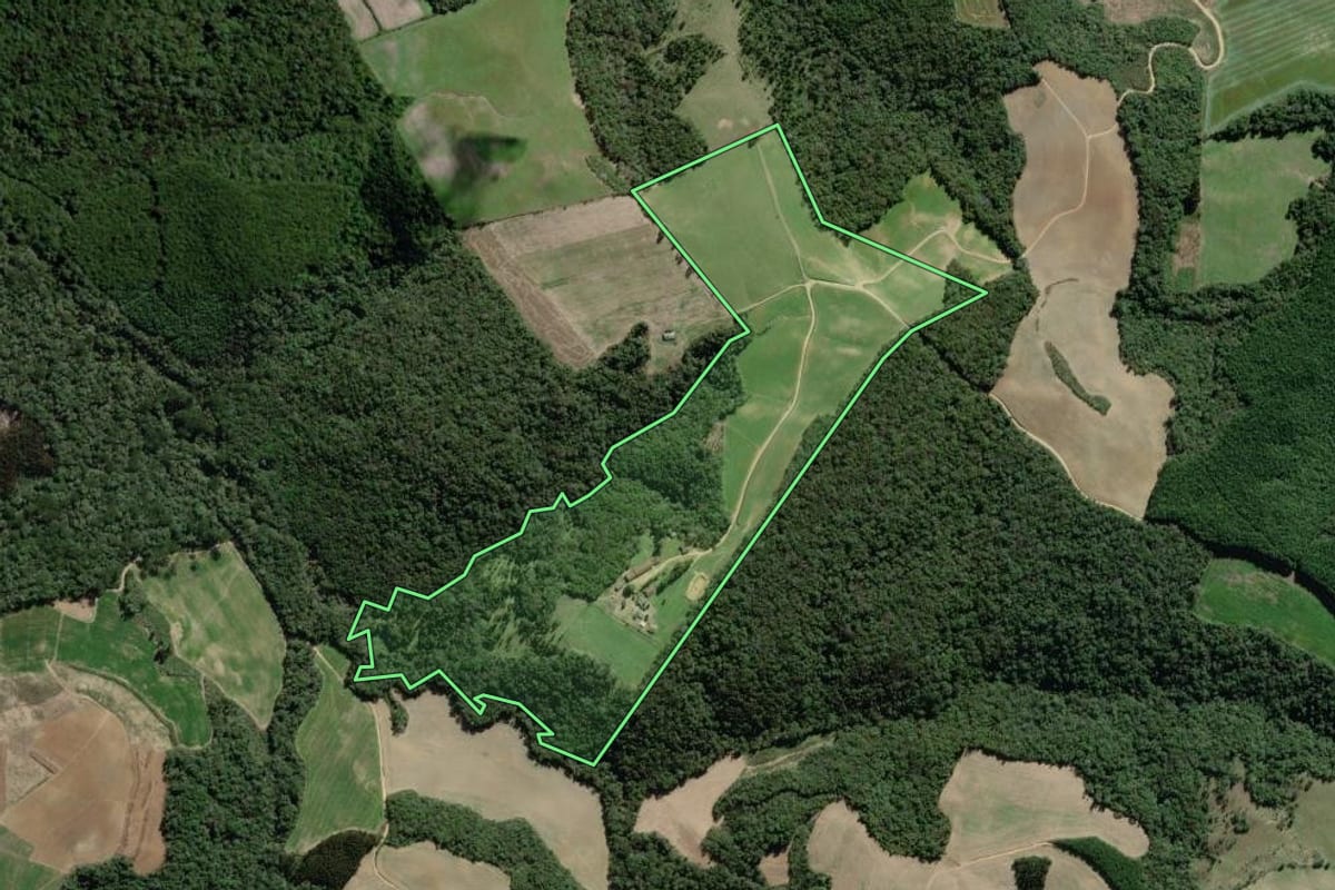 Imagem de satélite do imóvel rural em Lapa (PR), com o contorno declarado no CAR desenhado por cima.