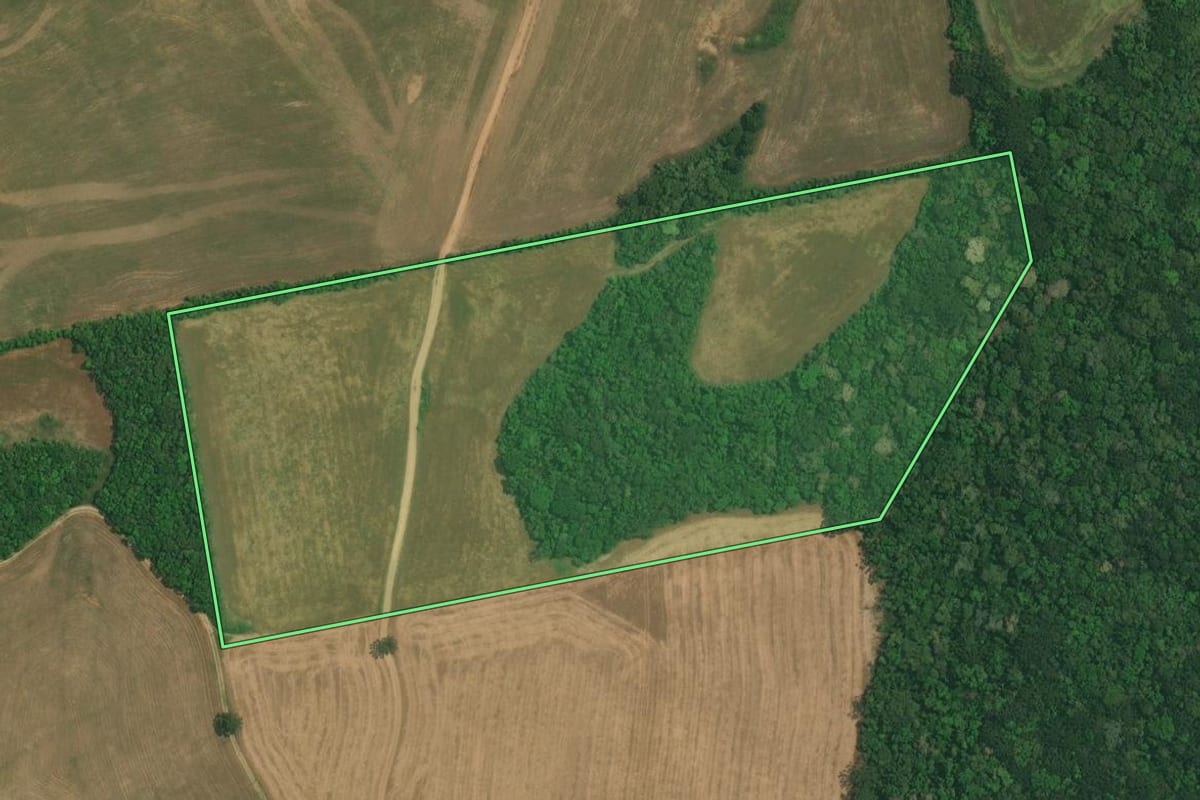 Imagem de satélite do imóvel rural em Lapa (PR), com o contorno declarado no CAR desenhado por cima.