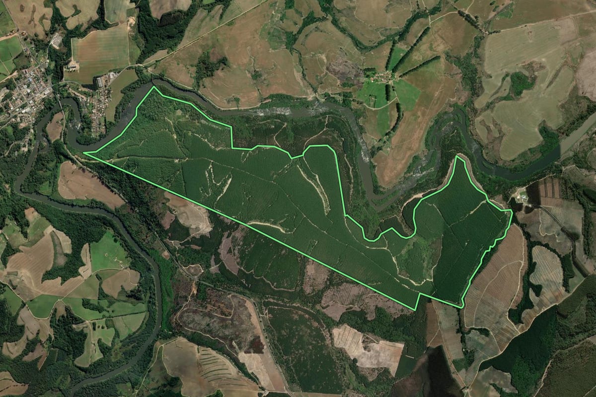 Imagem de satélite do imóvel rural em Lapa (PR), com o contorno declarado no CAR desenhado por cima.