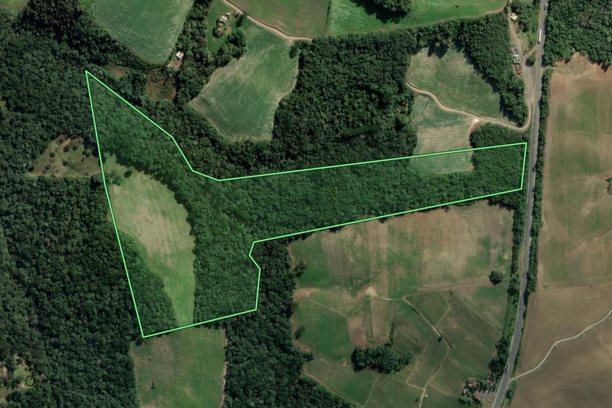 Imagem de satélite do imóvel rural em Lapa (PR), com o contorno declarado no CAR desenhado por cima.