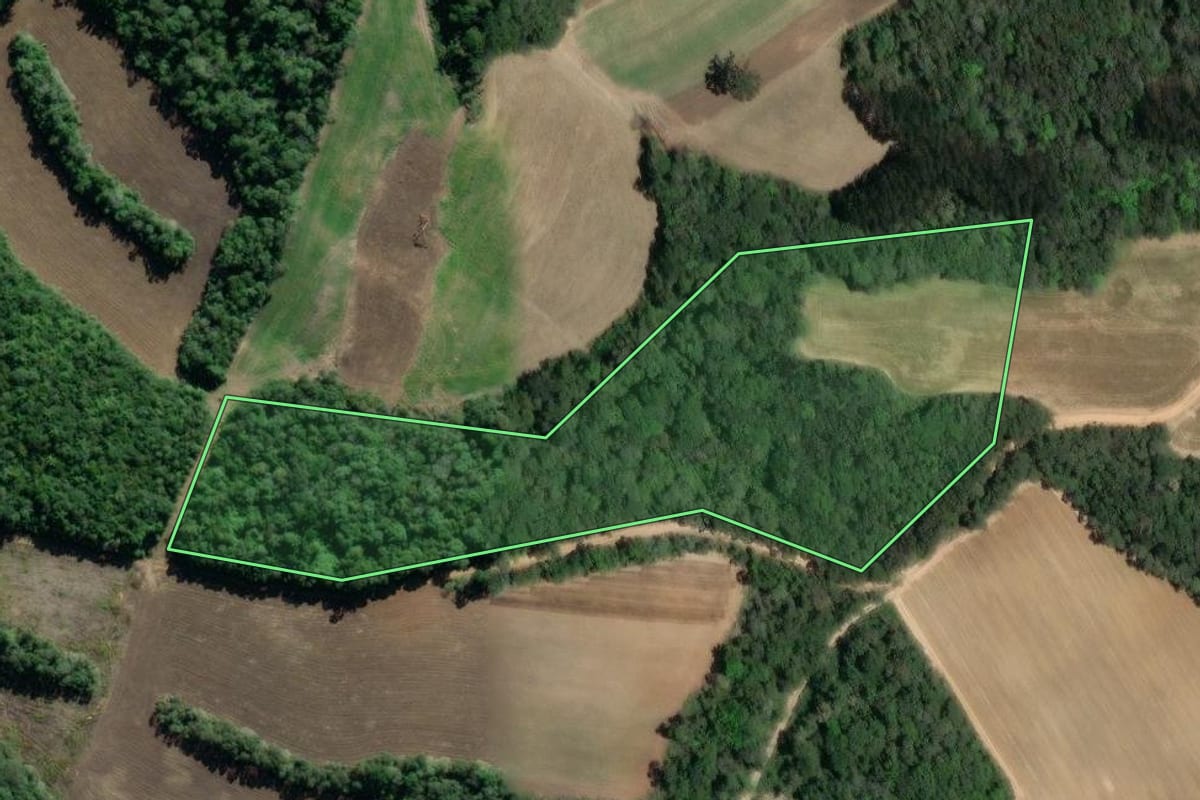 Imagem de satélite do imóvel rural em Lapa (PR), com o contorno declarado no CAR desenhado por cima.