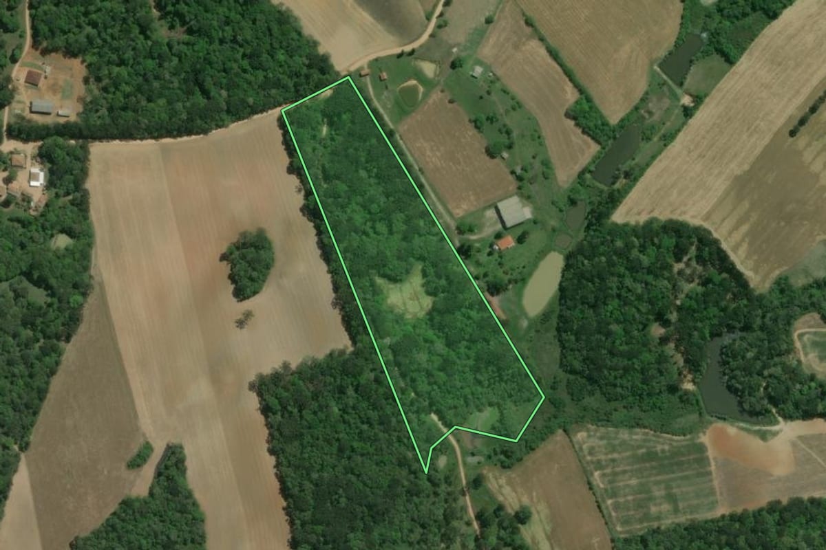 Imagem de satélite do imóvel rural em Lapa (PR), com o contorno declarado no CAR desenhado por cima.