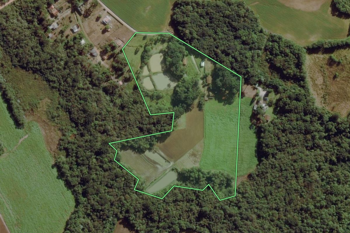Imagem de satélite do imóvel rural em Lapa (PR), com o contorno declarado no CAR desenhado por cima.