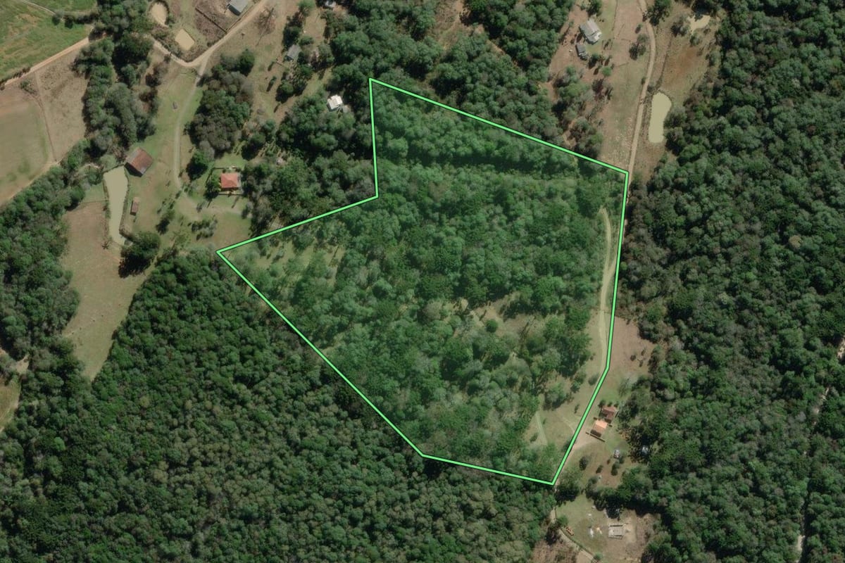 Imagem de satélite do imóvel rural em Lapa (PR), com o contorno declarado no CAR desenhado por cima.