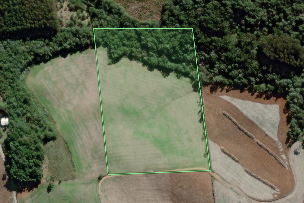 Imagem de satélite do imóvel rural em Lapa (PR), com o contorno declarado no CAR desenhado por cima.