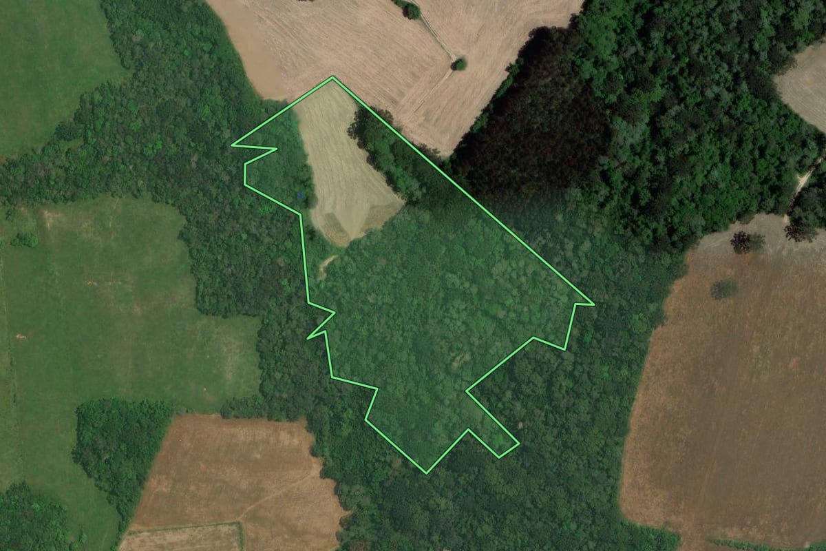 Imagem de satélite do imóvel rural em Lapa (PR), com o contorno declarado no CAR desenhado por cima.
