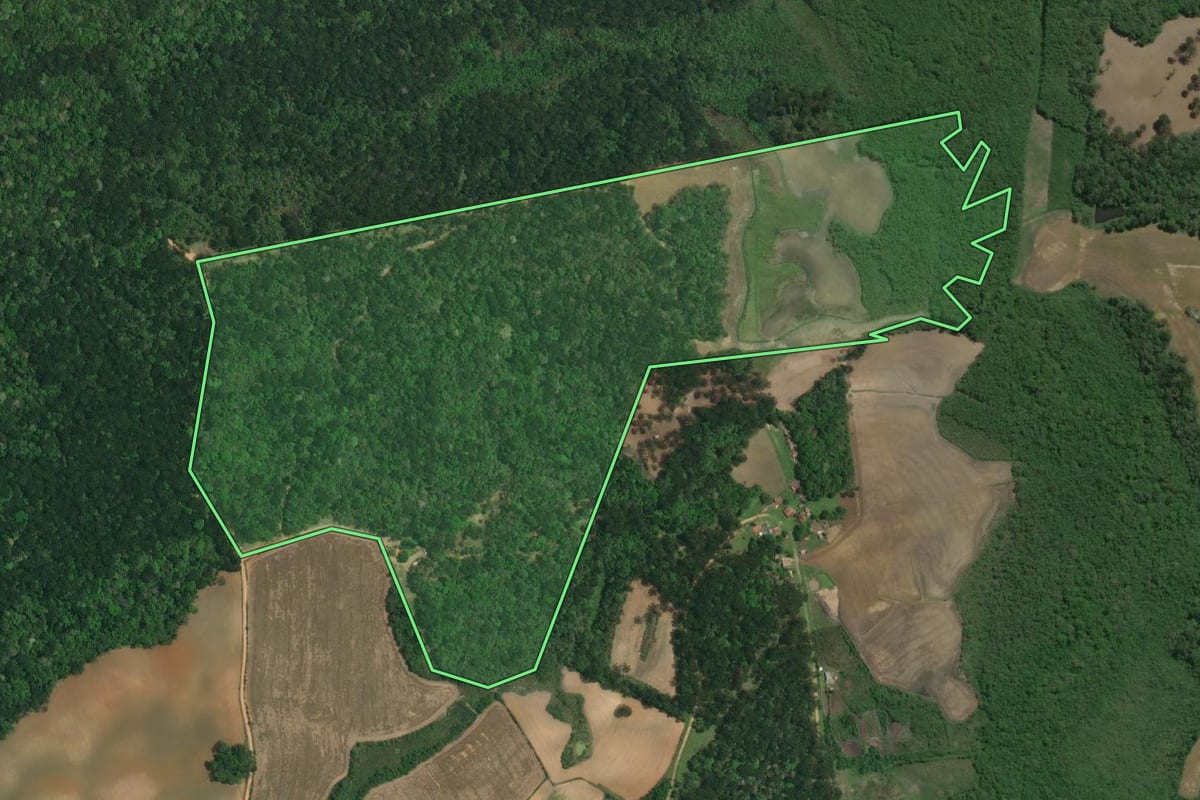 Imagem de satélite do imóvel rural em Lapa (PR), com o contorno declarado no CAR desenhado por cima.