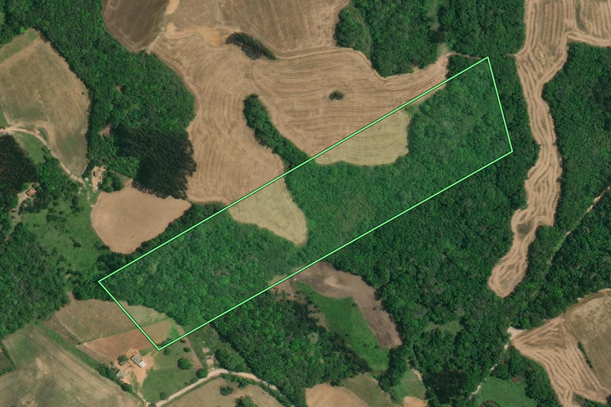 Imagem de satélite do imóvel rural em Lapa (PR), com o contorno declarado no CAR desenhado por cima.
