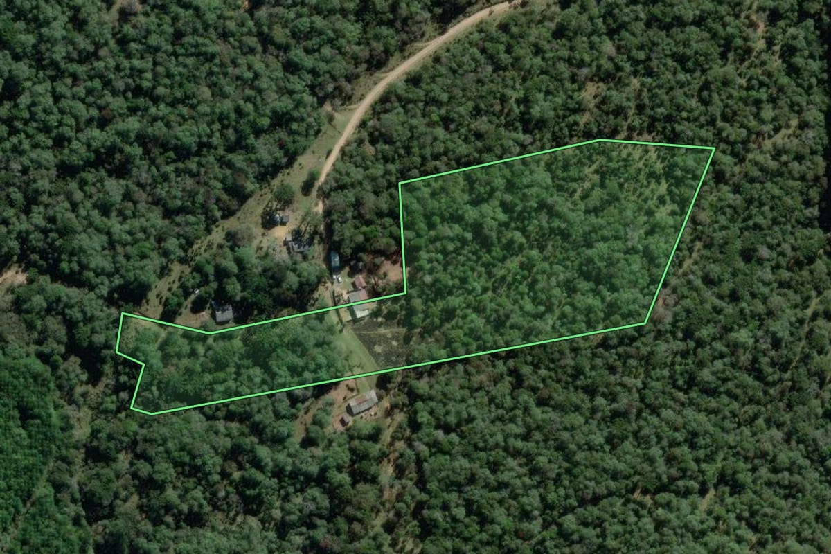 Imagem de satélite do imóvel rural em Lapa (PR), com o contorno declarado no CAR desenhado por cima.