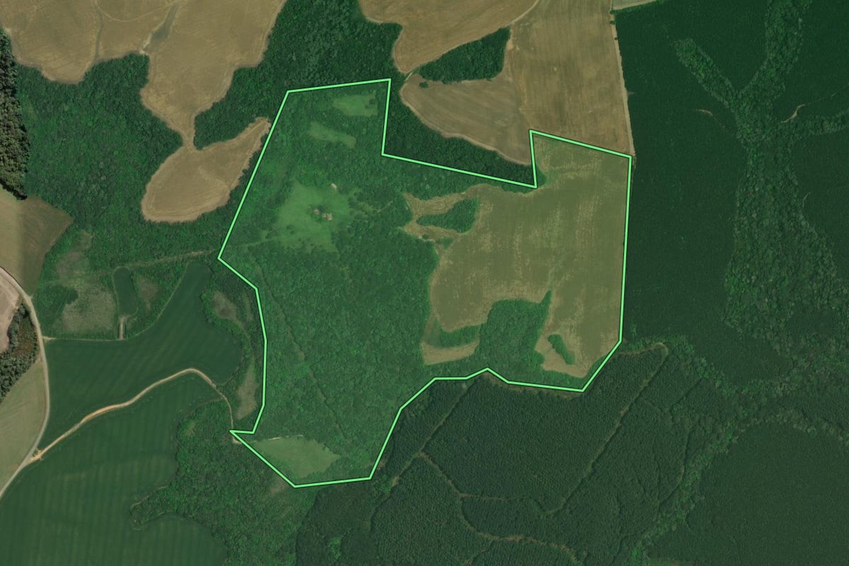 Imagem de satélite do imóvel rural em Lapa (PR), com o contorno declarado no CAR desenhado por cima.
