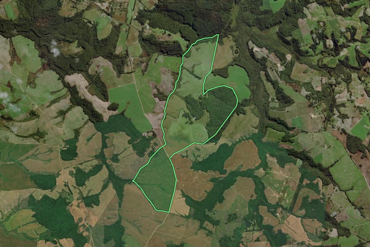 Imagem de satélite do imóvel rural em Lapa (PR), com o contorno declarado no CAR desenhado por cima.