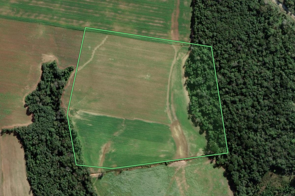 Imagem de satélite do imóvel rural em Lapa (PR), com o contorno declarado no CAR desenhado por cima.