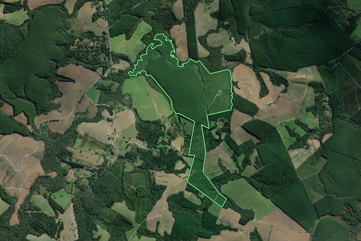 Imagem de satélite do imóvel rural em Lapa (PR), com o contorno declarado no CAR desenhado por cima.