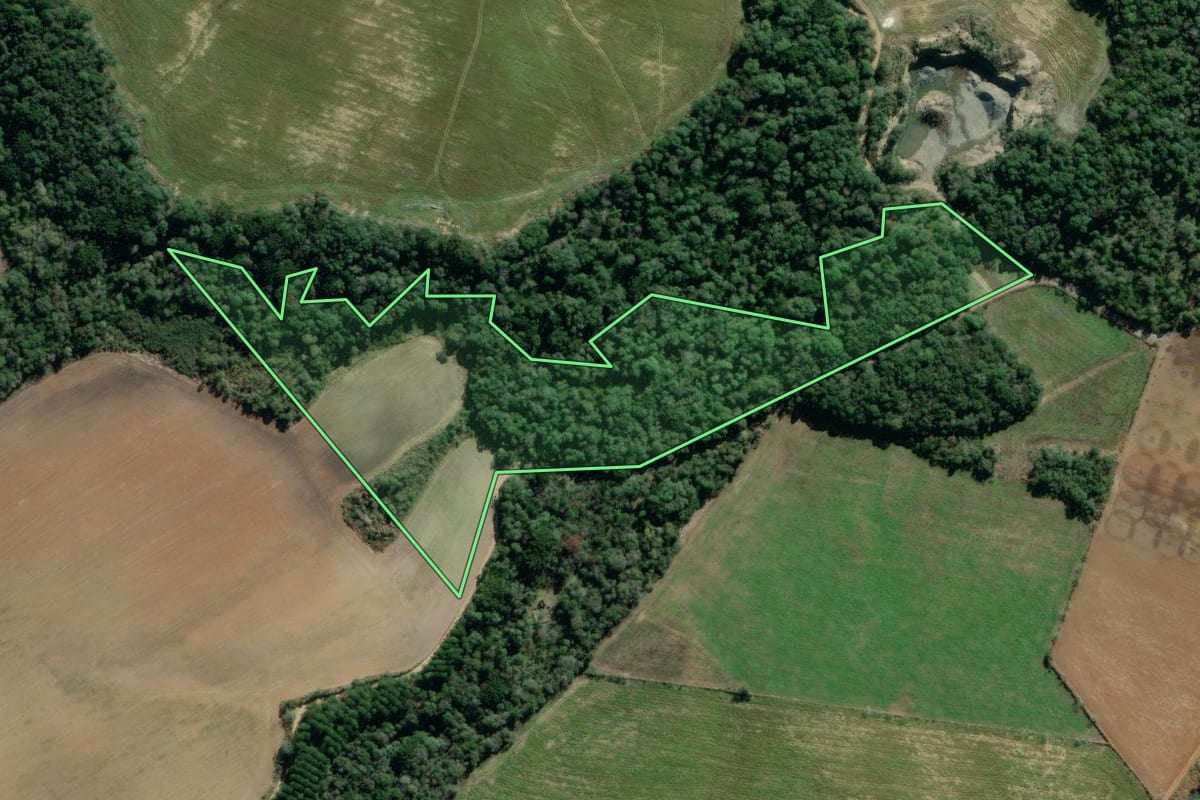 Imagem de satélite do imóvel rural em Lapa (PR), com o contorno declarado no CAR desenhado por cima.
