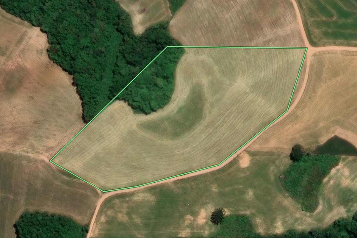 Imagem de satélite do imóvel rural em Lapa (PR), com o contorno declarado no CAR desenhado por cima.