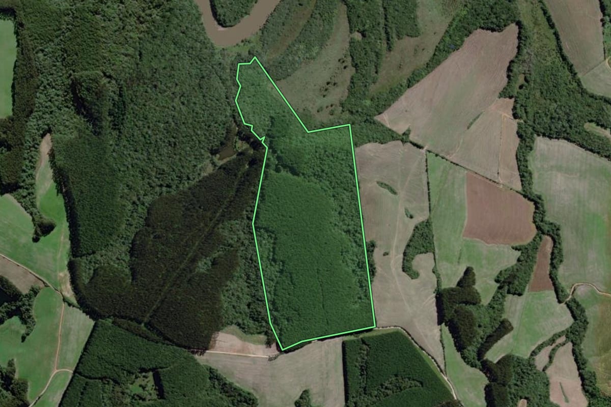 Imagem de satélite do imóvel rural em Lapa (PR), com o contorno declarado no CAR desenhado por cima.