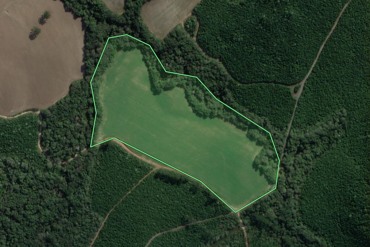 Imagem de satélite do imóvel rural em Lapa (PR), com o contorno declarado no CAR desenhado por cima.