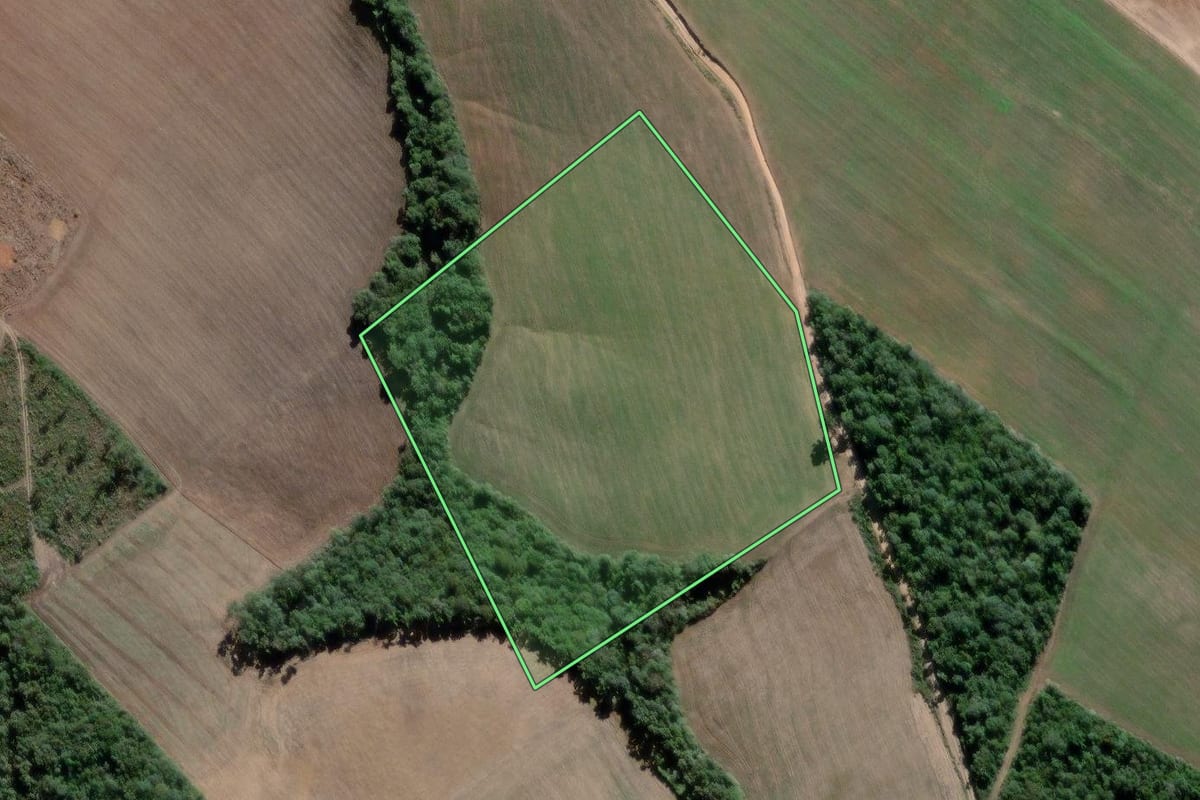 Imagem de satélite do imóvel rural em Lapa (PR), com o contorno declarado no CAR desenhado por cima.