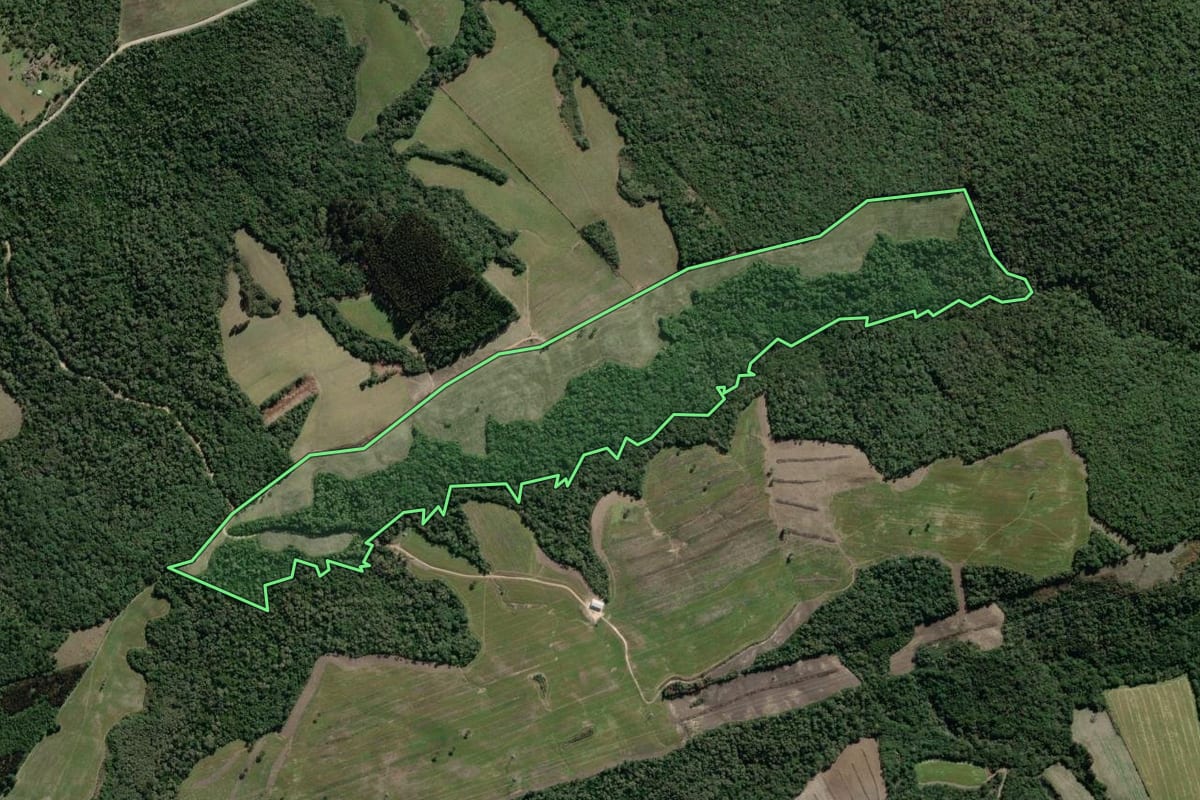 Imagem de satélite do imóvel rural em Lapa (PR), com o contorno declarado no CAR desenhado por cima.