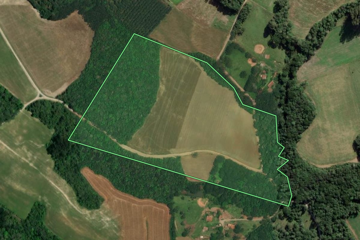 Imagem de satélite do imóvel rural em Lapa (PR), com o contorno declarado no CAR desenhado por cima.