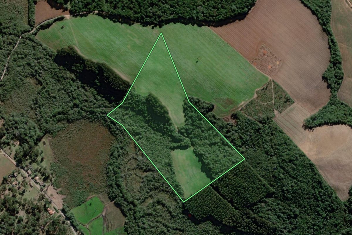 Imagem de satélite do imóvel rural em Lapa (PR), com o contorno declarado no CAR desenhado por cima.