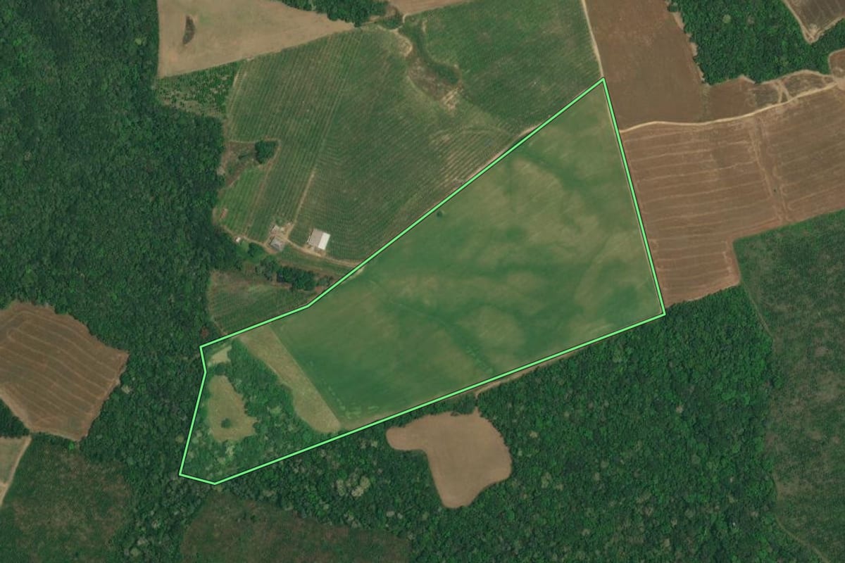 Imagem de satélite do imóvel rural em Lapa (PR), com o contorno declarado no CAR desenhado por cima.