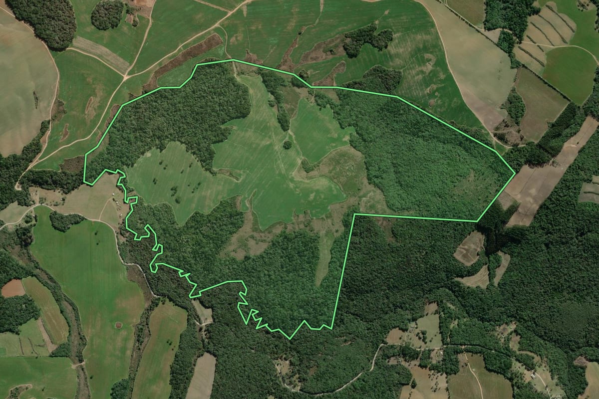 Imagem de satélite do imóvel rural em Lapa (PR), com o contorno declarado no CAR desenhado por cima.