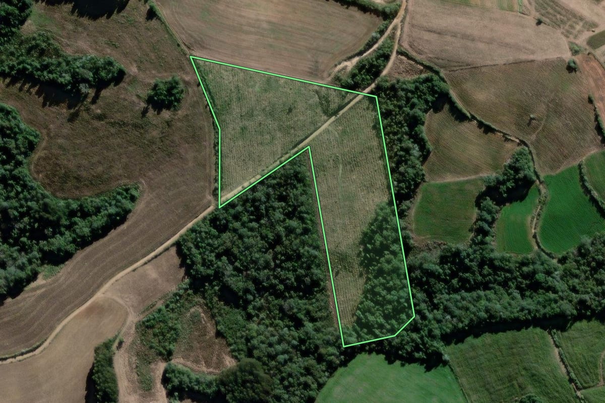 Imagem de satélite do imóvel rural em Lapa (PR), com o contorno declarado no CAR desenhado por cima.