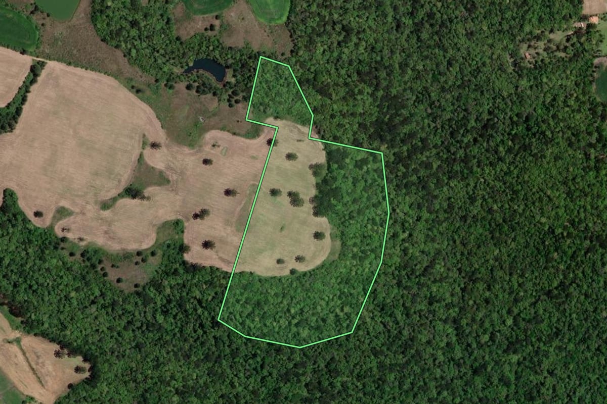 Imagem de satélite do imóvel rural em Lapa (PR), com o contorno declarado no CAR desenhado por cima.