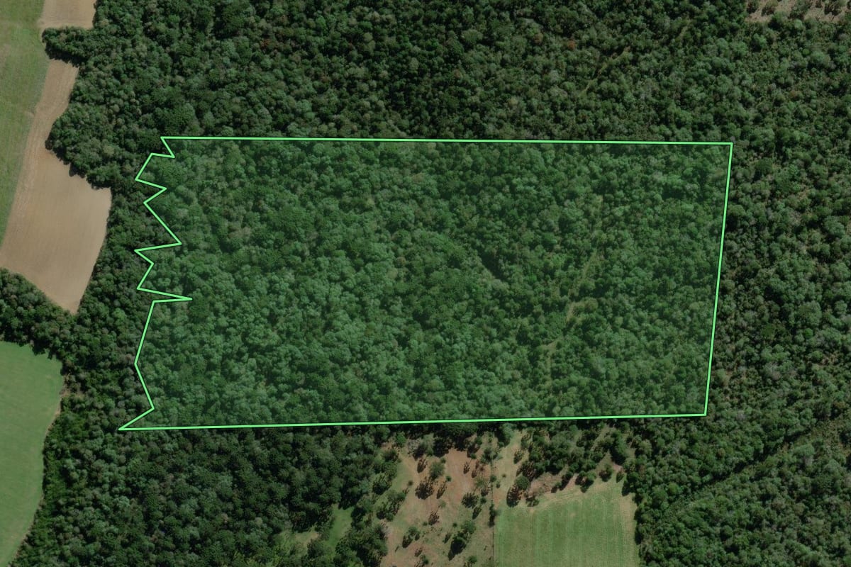 Imagem de satélite do imóvel rural em Lapa (PR), com o contorno declarado no CAR desenhado por cima.