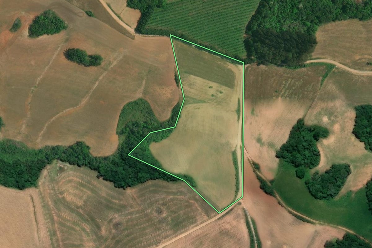 Imagem de satélite do imóvel rural em Lapa (PR), com o contorno declarado no CAR desenhado por cima.
