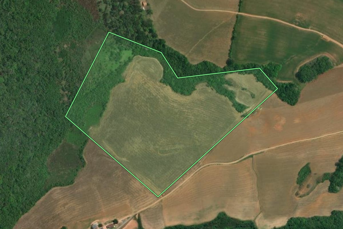 Imagem de satélite do imóvel rural em Lapa (PR), com o contorno declarado no CAR desenhado por cima.
