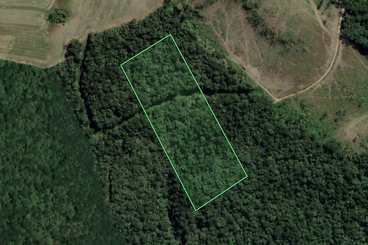 Imagem de satélite do imóvel rural em Lapa (PR), com o contorno declarado no CAR desenhado por cima.