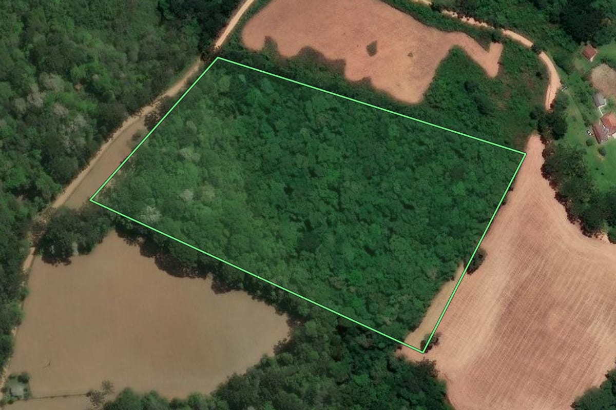 Imagem de satélite do imóvel rural em Lapa (PR), com o contorno declarado no CAR desenhado por cima.