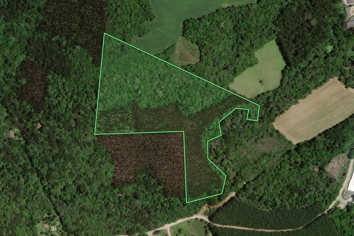 Imagem de satélite do imóvel rural em Lapa (PR), com o contorno declarado no CAR desenhado por cima.