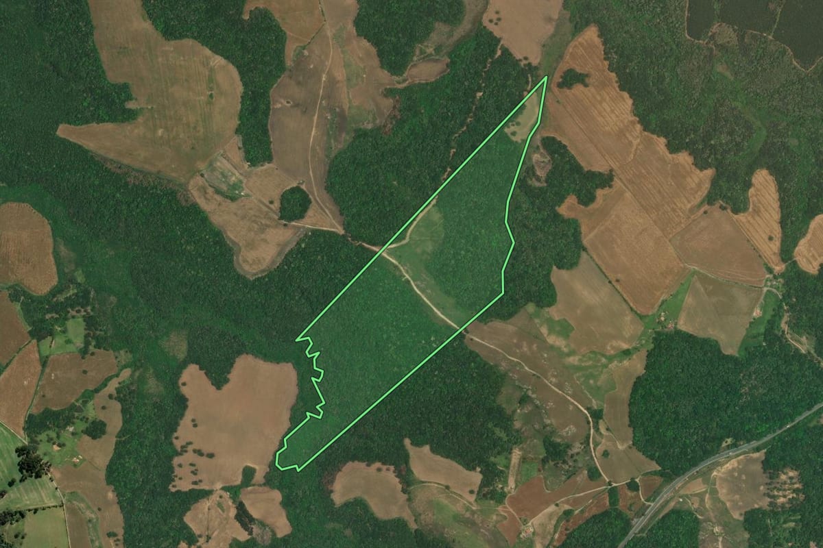 Imagem de satélite do imóvel rural em Lapa (PR), com o contorno declarado no CAR desenhado por cima.
