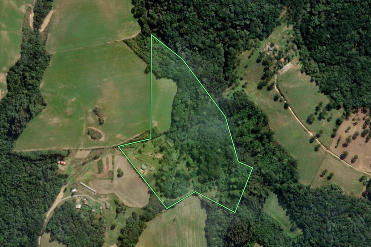 Imagem de satélite do imóvel rural em Lapa (PR), com o contorno declarado no CAR desenhado por cima.